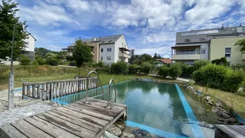 Natürlicher Schwimmteich mit Holzsteg und umliegenden Wohnhäusern unter blauem Himmel.