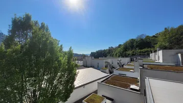 Sonnige Dachlandschaft mit begrünten Dächern und Blick auf die umliegenden Hügel.