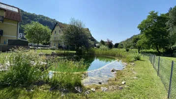 Natürlicher Teich mit üppiger Vegetation und umliegender Grünfläche vor ländlicher Kulisse.