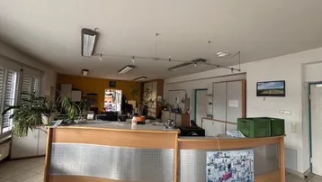 Empfangsbereich eines Büros mit Holztheke, Fliesenboden und Pflanzen, gut beleuchtet durch Deckenleuchten.