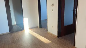 Heller Innenraum mit Holzboden und Holzdecke, der Zugang zu mehreren Zimmern bietet.