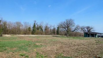 Weitläufiges offenes Feld mit vereinzelten Bäumen und einem kleinen Schuppen am Horizont unter blauem Himmel.