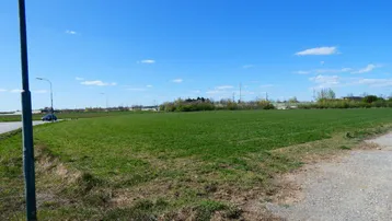 Weites grünes Feld unter blauem Himmel mit einer Straße und Laterne am Rand.