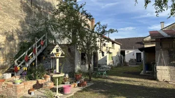 Gartenbereich mit altem Baumbestand, einer Holztreppe und verschiedenen Pflanzen.