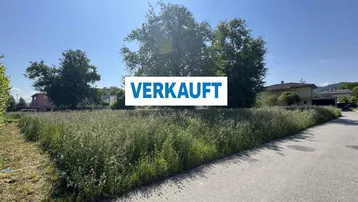 Sonniges Grundstück mit hohem Gras und Bäumen in einer ruhigen Wohngegend.