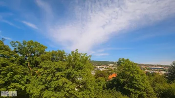 Weitläufiger Blick über grüne Baumwipfel und eine Stadtlandschaft unter blauem Himmel.