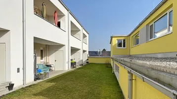 Gepflegte Rasenfläche zwischen zwei modernen Wohngebäuden unter blauem Himmel.