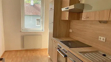 Funktionale Küche mit Holzdekorfronten, Induktionskochfeld und Fensterblick.