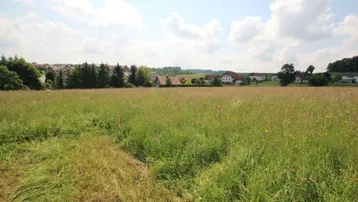 Weite Wiesenlandschaft mit ländlicher Bebauung im Hintergrund unter einem blauen Himmel mit Wolken.