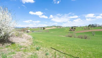 Weite grüne Hügellandschaft unter blauem Himmel mit blühendem Strauch und vereinzelten Häusern in der Ferne.