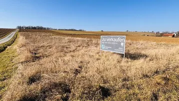 Ein 'Zu Verkaufen'-Schild steht auf einem trockenen Feld, umgeben von ländlicher Landschaft unter klarem blauem Himmel.
