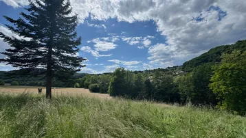 Weite Landschaft mit grünen Wiesen, Bäumen und einem klaren blauen Himmel mit Wolken.