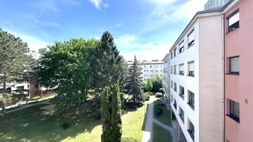 Blick auf einen grünen Innenhof mit Bäumen und umliegenden Wohngebäuden unter blauem Himmel.