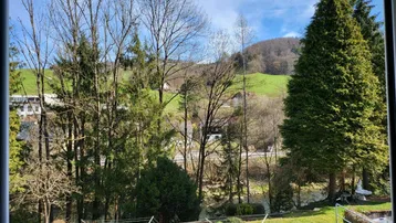 Blick aus dem Fenster auf eine grüne Hügellandschaft mit Bäumen und einem Fluss im Tal.