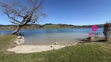 Idyllischer Blick auf einen ruhigen See mit Uferbereich, einem markanten Baum und grünen Hügeln unter blauem Himmel.