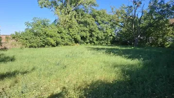 Grünes Grundstück mit Rasenfläche und Bäumen im Hintergrund unter blauem Himmel.