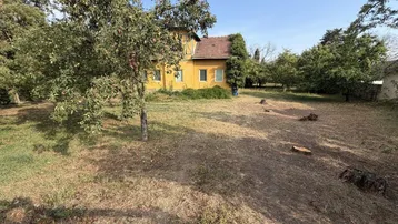 Blick durch die Bäume auf das charmante gelbe Haus und den weitläufigen Gartenbereich.
