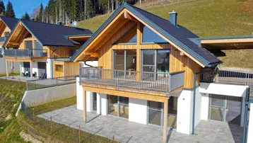 Mehrere moderne Holzhäuser mit dunklen Dächern und Balkonen in einer sonnigen Hanglage.