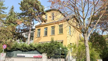 Gelbe Villa mit grünen Fensterrahmen und umgebender Vegetation an einem sonnigen Tag.