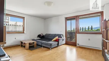 Helles Wohnzimmer mit Parkettboden, gemütlichem Sofa und Zugang zu einem Balkon mit grüner Aussicht.