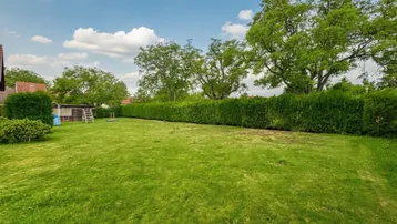 Großer, gepflegter Rasenbereich mit hoher Hecke und Bäumen im Hintergrund, ideal für Freizeitaktivitäten.