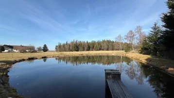 Großer Teich mit Holzsteg und weitem Blick auf die umliegende Natur und Wälder.