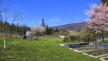 Großer Gartenbereich mit Hochbeeten, blühenden Bäumen und Blick auf bewaldete Hügel unter blauem Himmel.