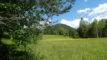 Grüne Wiesen und bewaldete Hügel unter blauem Himmel mit vereinzelten Wolken.