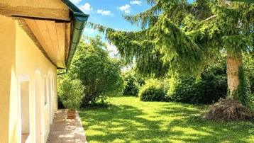 Sonnige Gartenfläche mit altem Baumbestand und einem gepflasterten Weg entlang des Hauses.