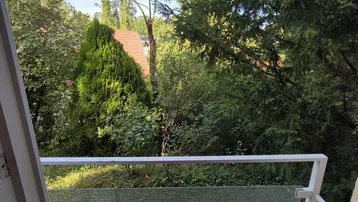 Blick vom Balkon ins Grüne mit Bäumen und blauem Himmel, der eine ruhige Atmosphäre schafft.