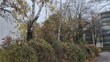 Herbstliche Szene mit Bäumen, Sträuchern und Laub auf einem Weg vor einem Gebäude.