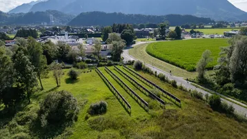 Luftaufnahme eines grünen Feldes mit Reihen von Solarmodulen und einer beeindruckenden Bergkulisse.