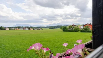 Weitläufiger Blick über grüne Felder und sanfte Hügel bis zu den fernen Bergen.