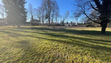 Große, sonnige Grünfläche mit Rasen und Bäumen, ideal für zukünftige Bebauung.