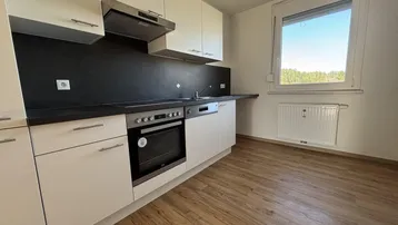 Moderne Küche mit weißen Schränken, schwarzer Arbeitsplatte und integrierten Geräten sowie Fenster.