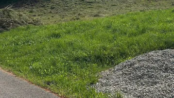 Grünes Grundstück mit Grasbewuchs und Schotterfläche, bereit für die Bebauung in ländlicher Umgebung.