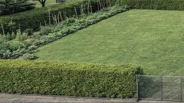 Gepflegter Garten mit Rasenfläche, Hecken, einem Gemüsegarten und kleinem Holzschuppen.
