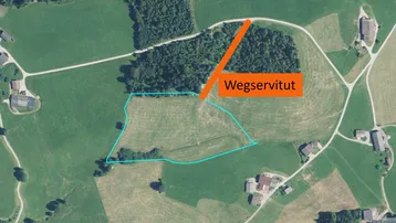 Expose Landwirtschaftliche Flächen in Hopfgarten
