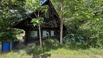 Rustikales Holzhaus mit grünen Fensterläden, umgeben von üppiger Vegetation und Bäumen.