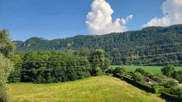 Weitläufiger Blick über grüne Felder und Wälder mit Bergen im Hintergrund unter blauem Himmel.
