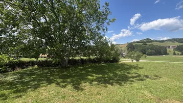 Große grüne Rasenfläche mit altem Baum und weitem Blick in die Landschaft unter blauem Himmel.