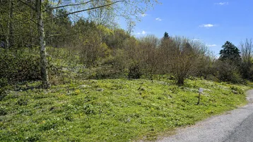 Natürliches Grundstück mit grüner Wiese, Bäumen und Sträuchern unter blauem Himmel.