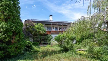 Ansicht des Hauses von außen, umgeben von üppigem Grün und hohen Bäumen unter blauem Himmel.