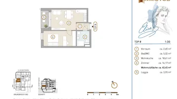 Grundriss der Wohnung TOP 8 mit offenem Wohn-Essbereich, einem Zimmer und Loggia.