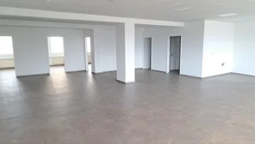 Großer, offener Büroraum mit Säulen, abgehängter Decke und braunem Fliesenboden, bereit zur individuellen Gestaltung.