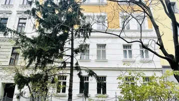 Klassisches Mehrfamilienhaus mit weißer und gelber Fassade und Bäumen davor.