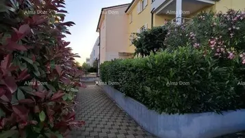 Außenansicht eines Wohngebäudes mit gepflastertem Weg und gepflegten Hecken im Vordergrund.