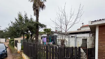 Blick auf den Gartenbereich mit Palmen, einem Holzzaun und einem Teil des Hauses.