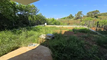 Ungepflegter Gartenbereich mit viel Grün und einer kleinen Terrasse unter blauem Himmel.