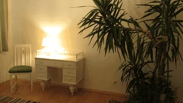 Gemütliches Zimmer mit Schreibtisch, großer Pflanze und Holzfußboden, beleuchtet von warmem Licht.